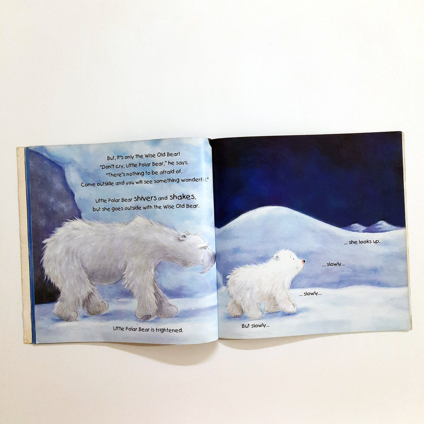 Bears Magic Moon