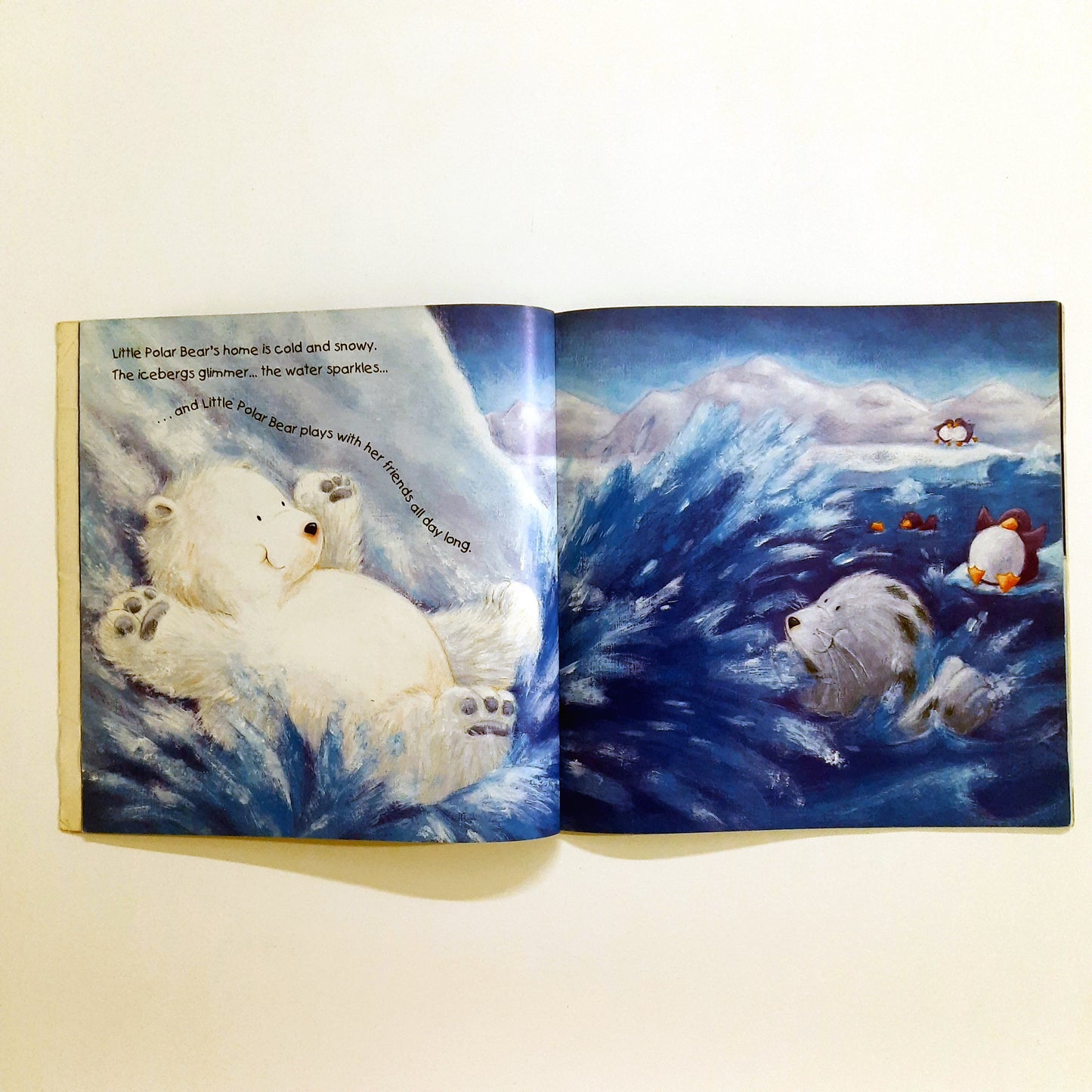 Bears Magic Moon