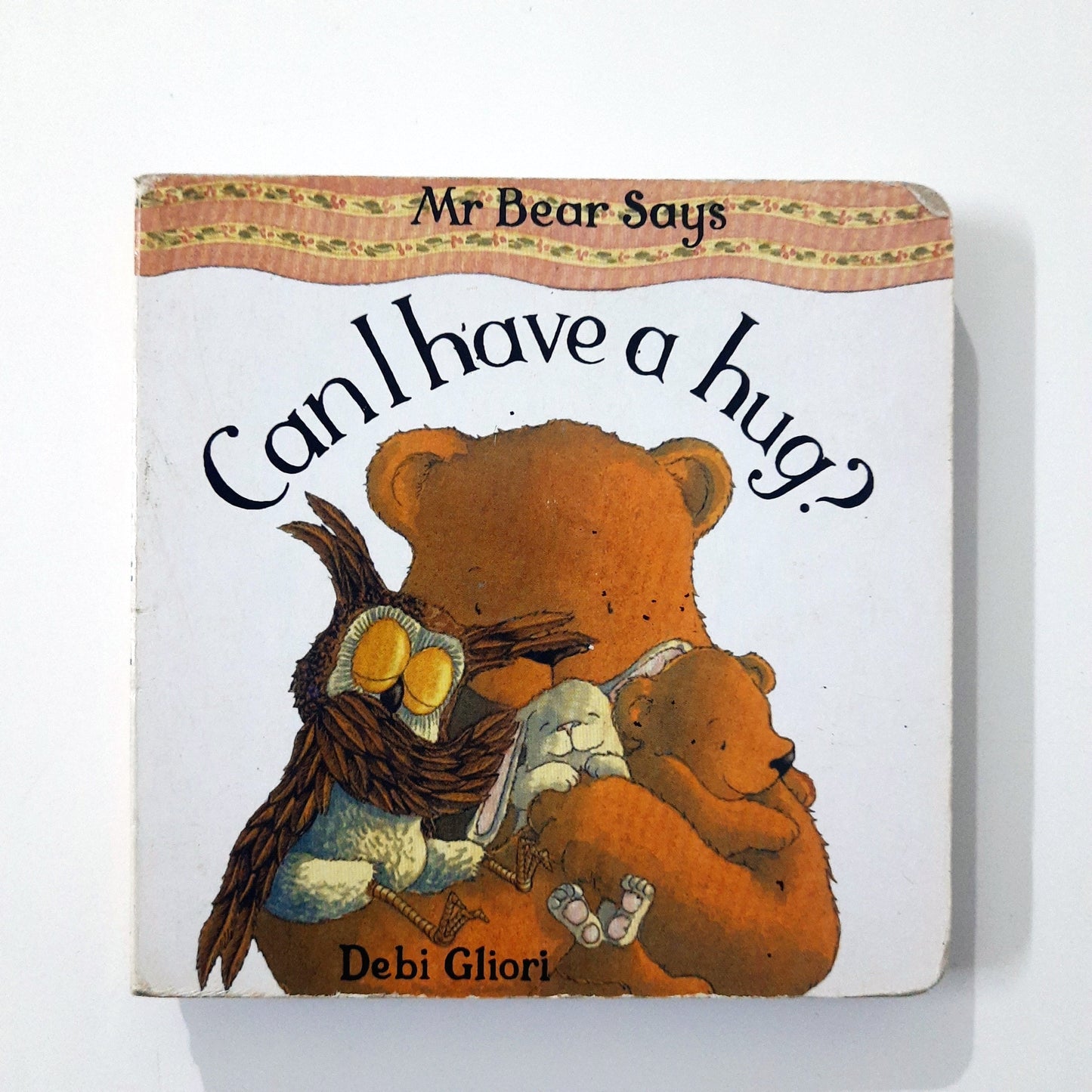Mr Bear says Can I have a Hug? - Debi Gliori