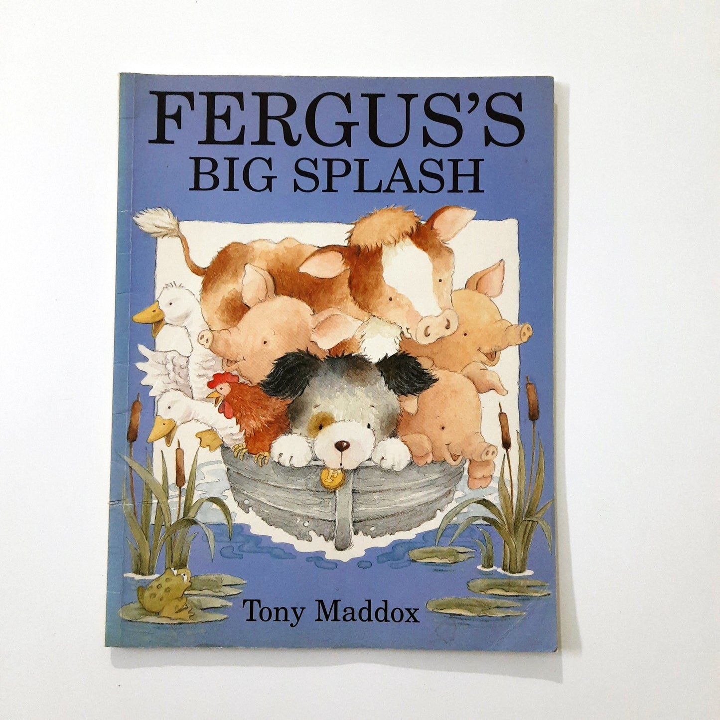 Fergus's Big Splash