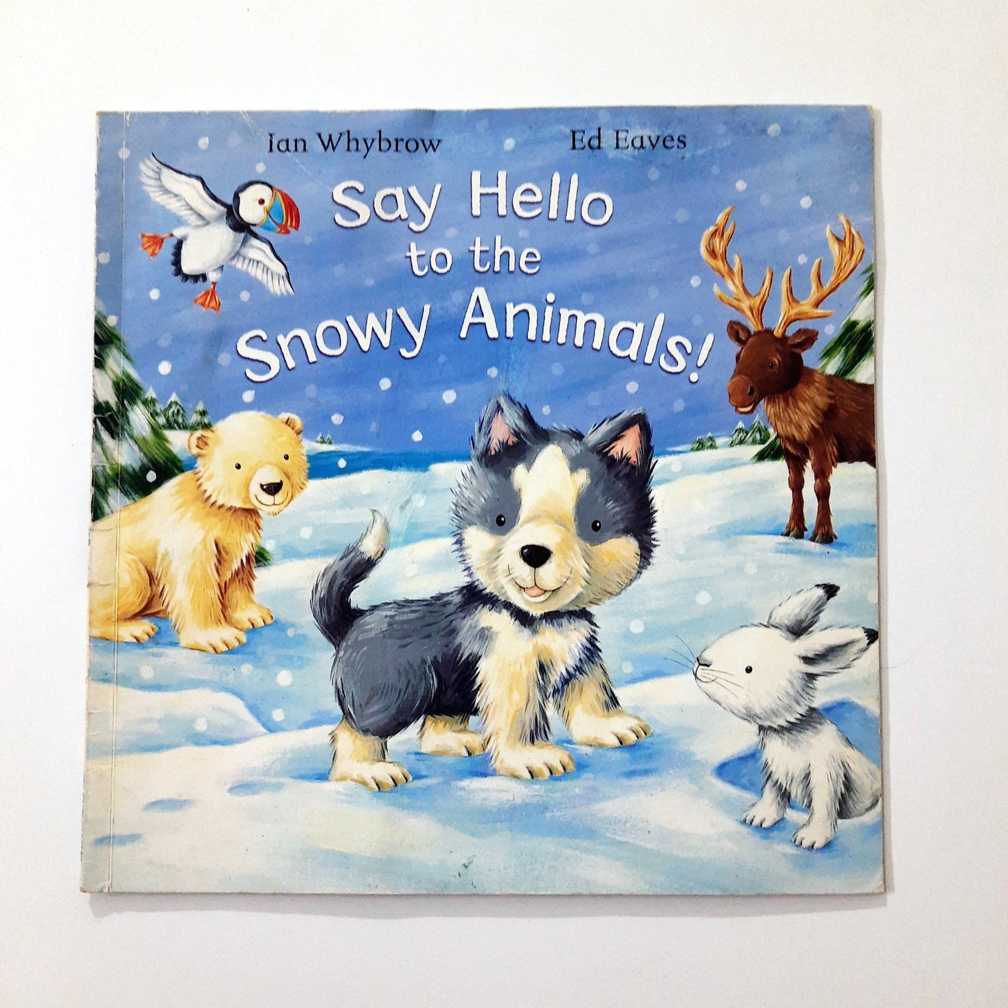 Say Hello to the Snowy Animals