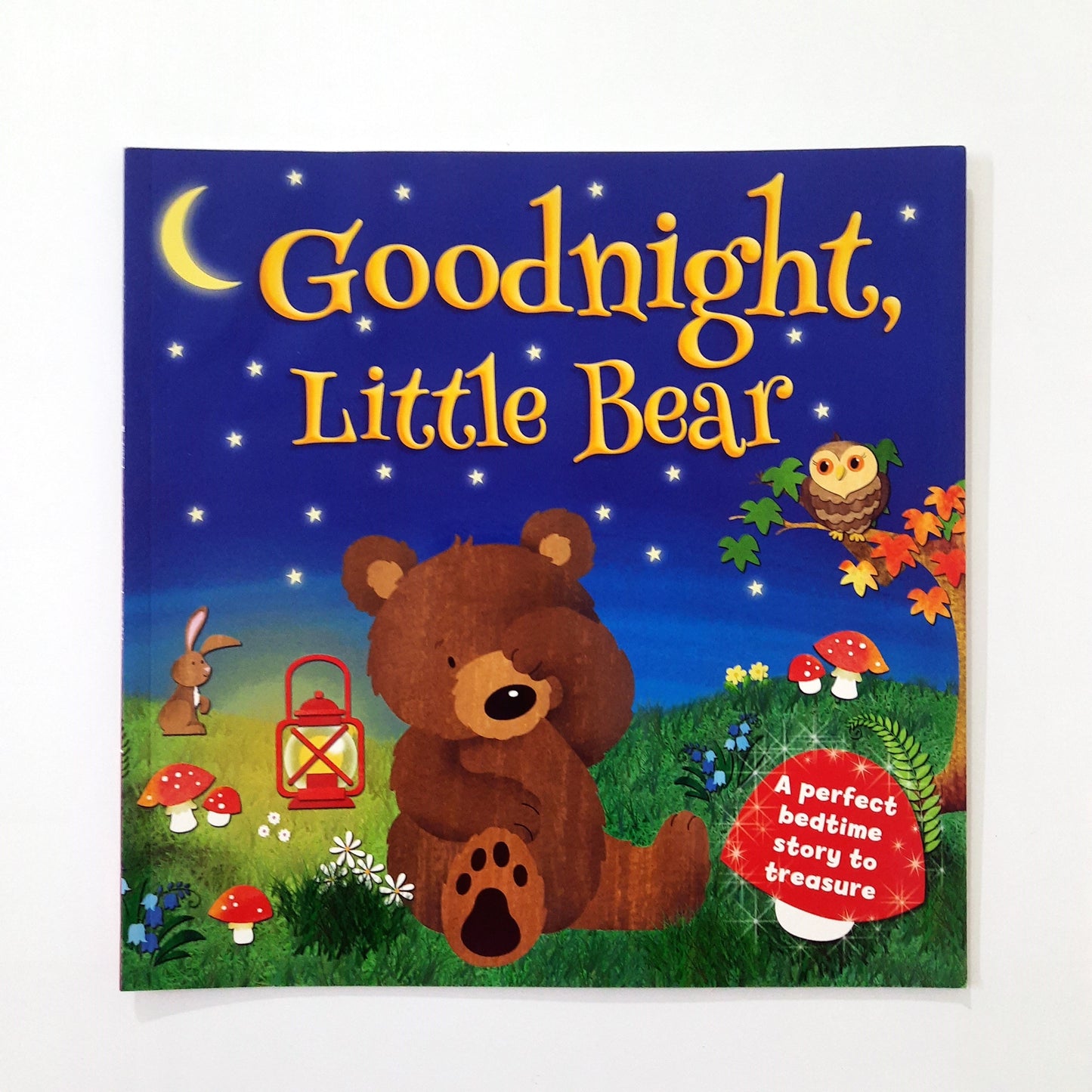 Good night Little Bear