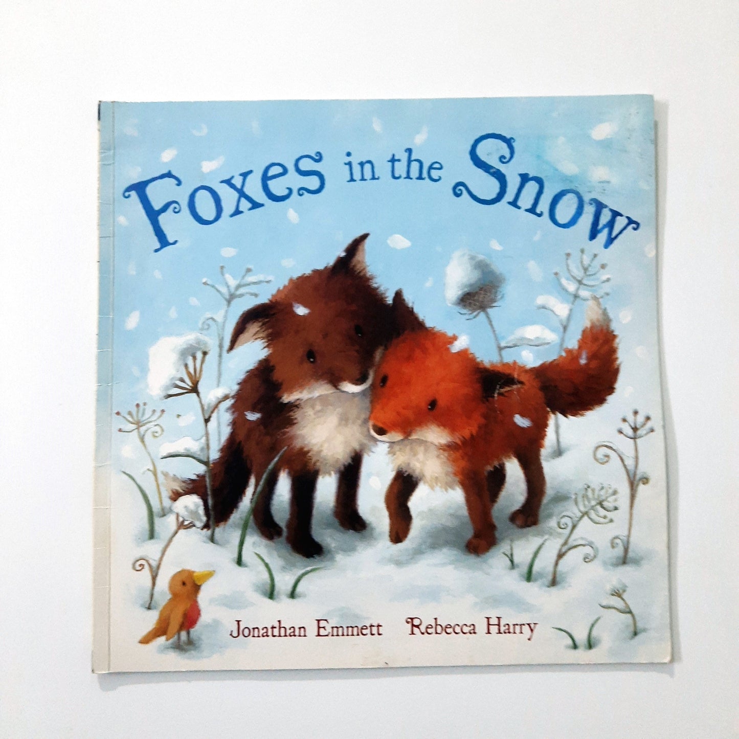 Foxes in the Snow
