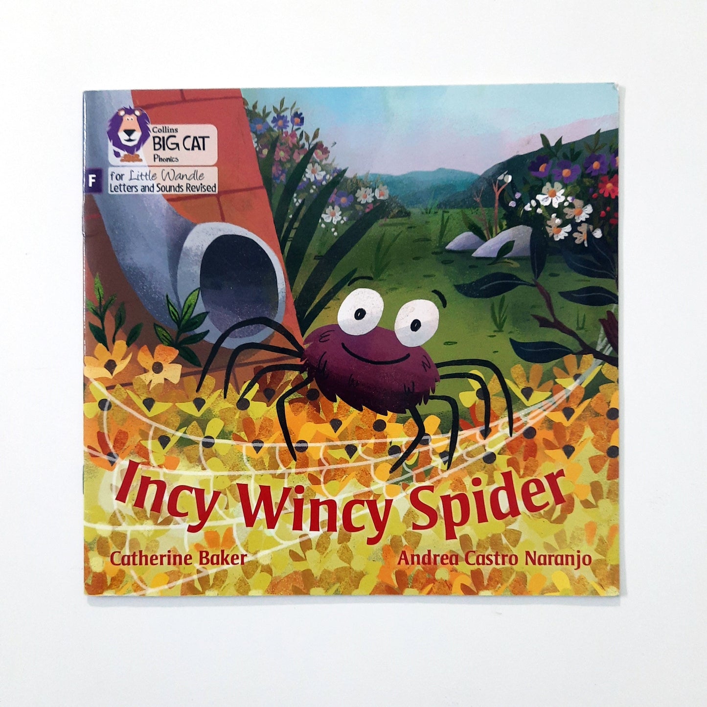 Incy Wincy Spider