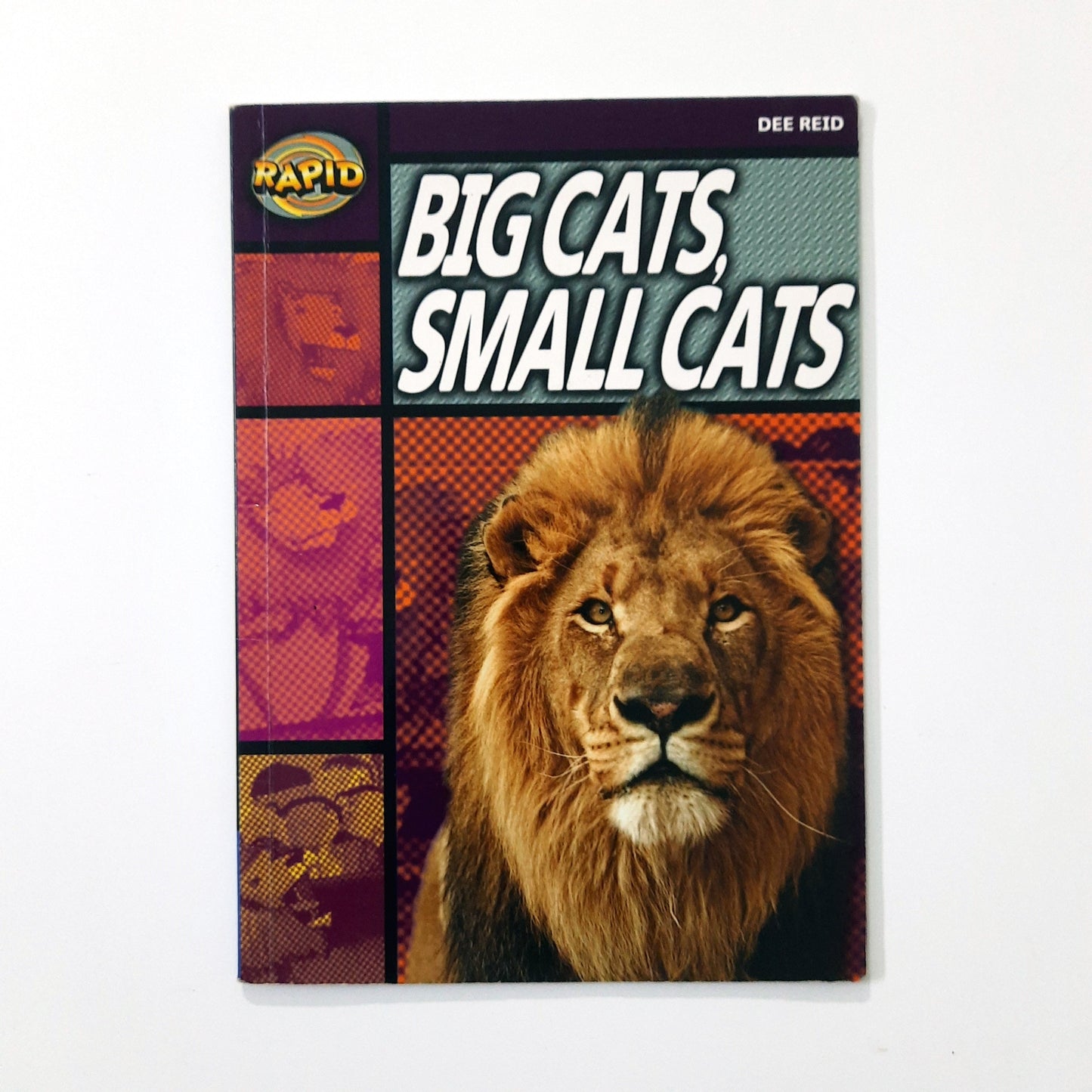 Big Cats, Small Cats