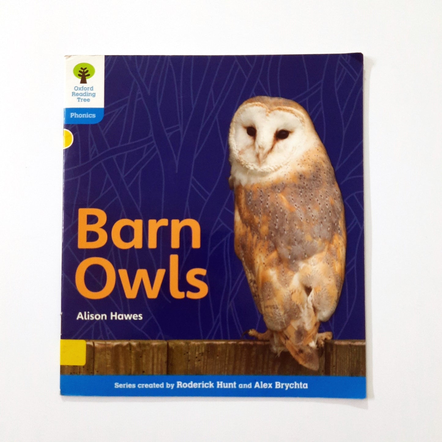 Barn Owls