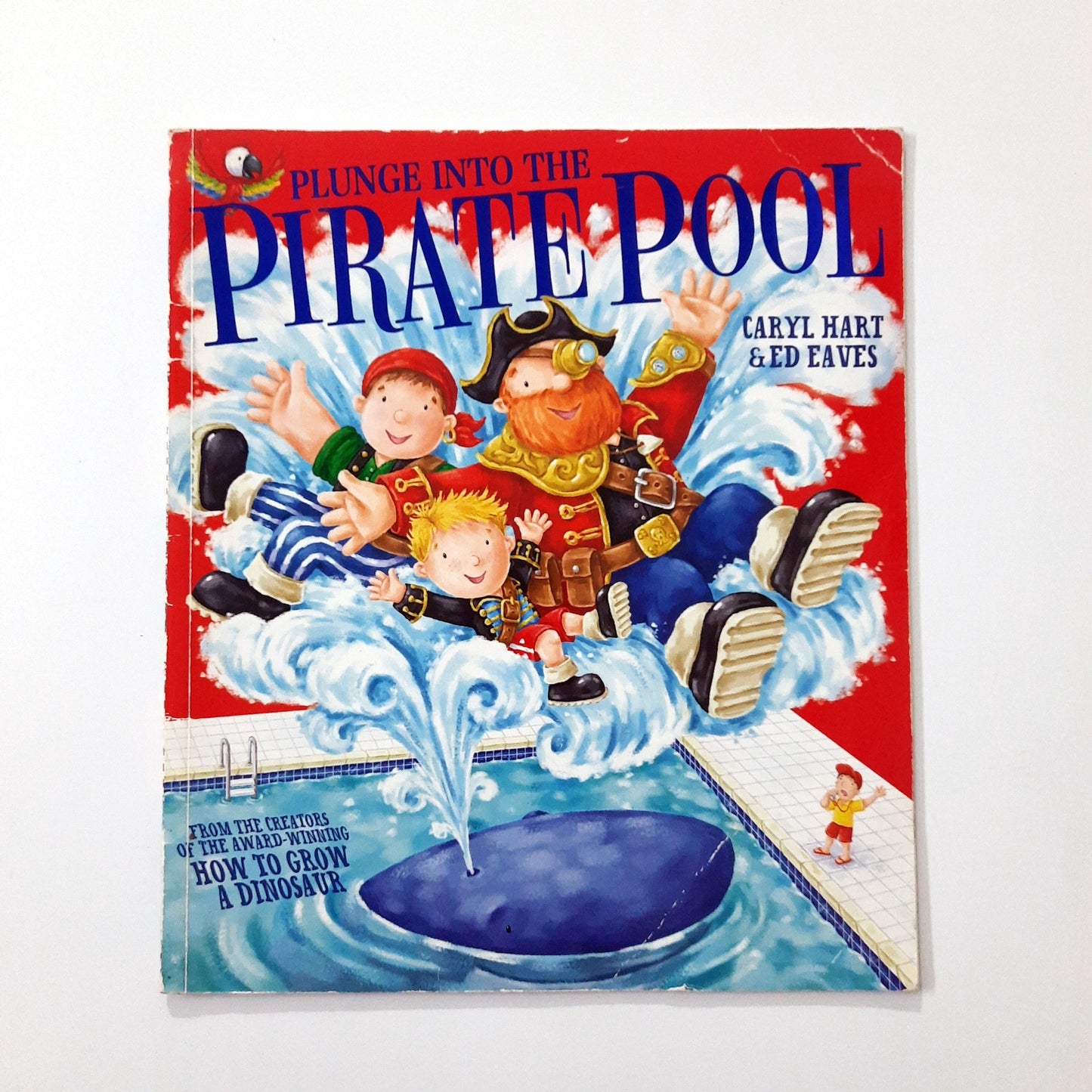Plunge into the Pirate Rool