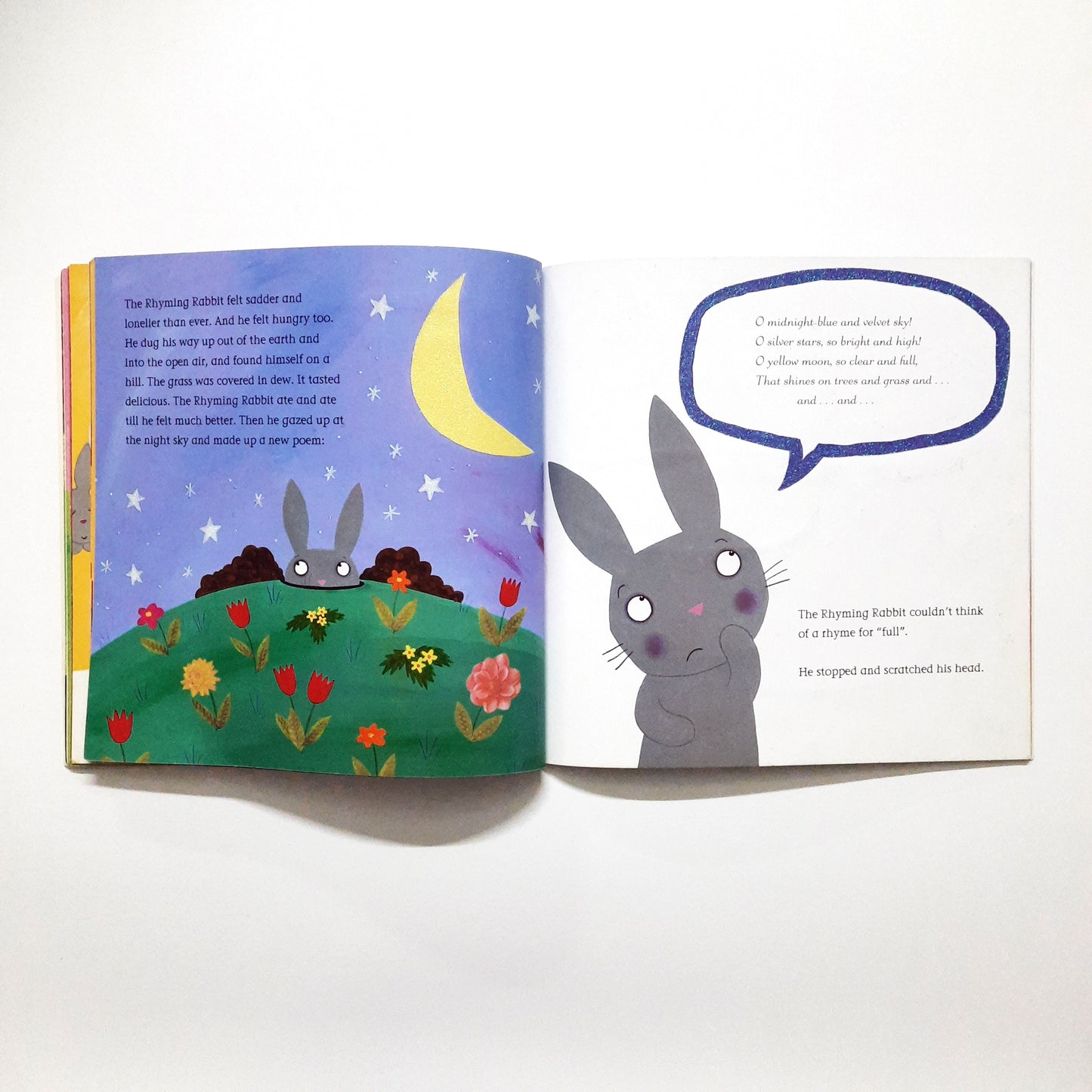 The Rhyming Rabbit - Julia Donaldson