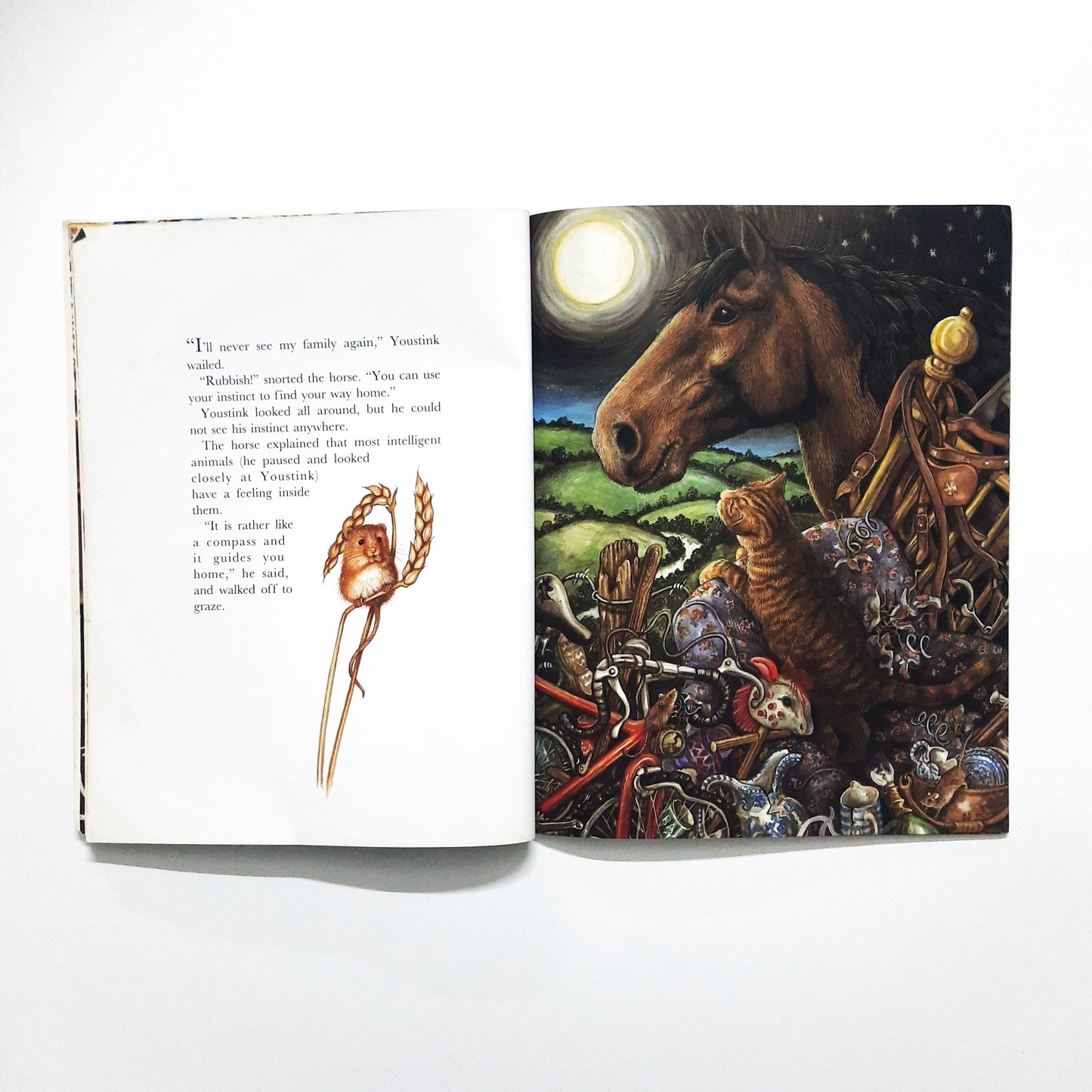 The Cat who Found his way Home