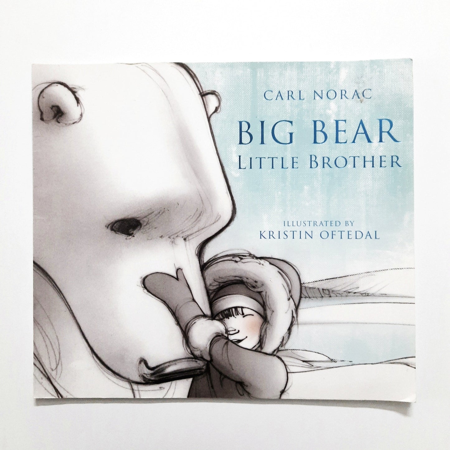 Big Bear Little Brother