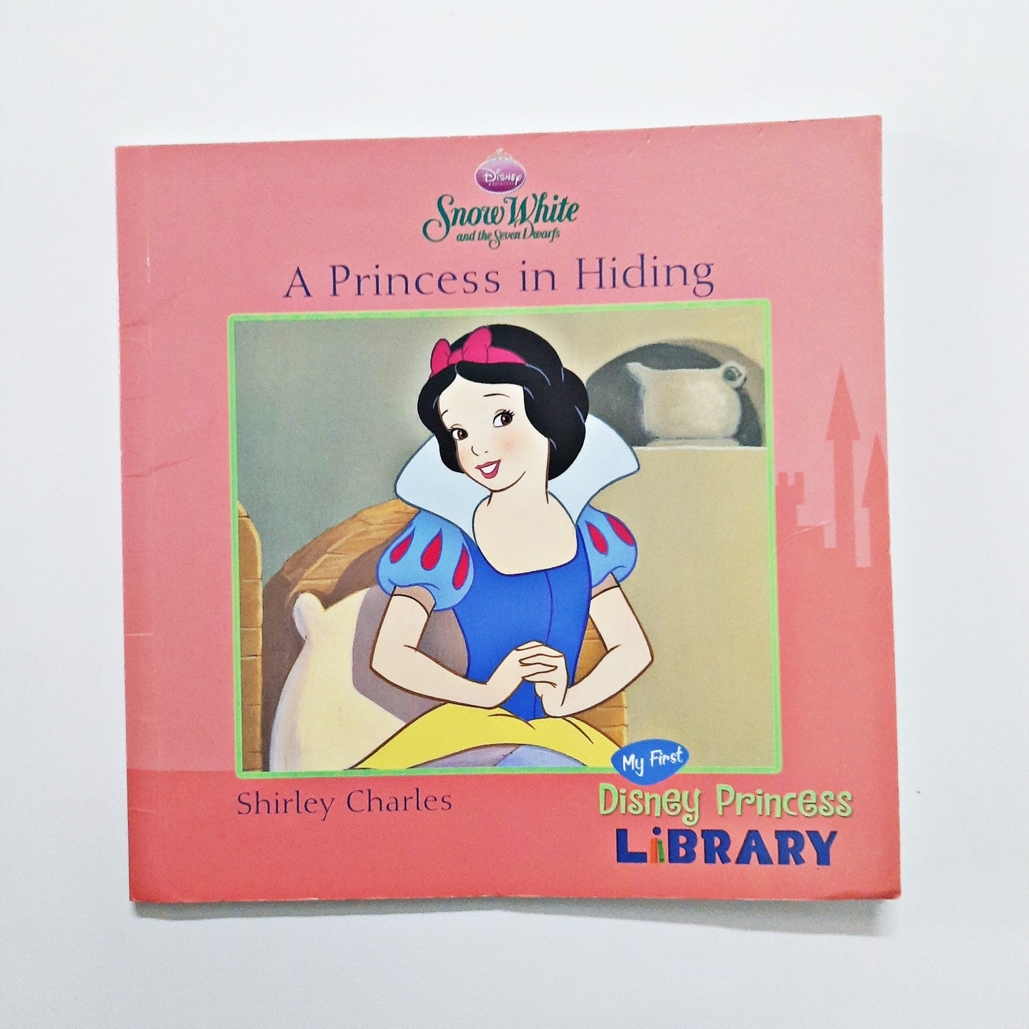 A Princess in Hiding