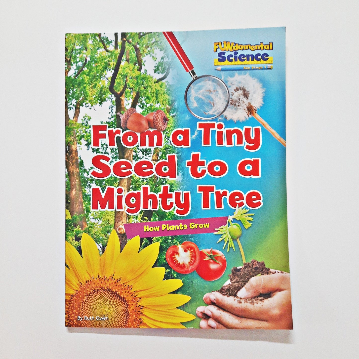 From a tiny seed to a mighty tree - How plants grow