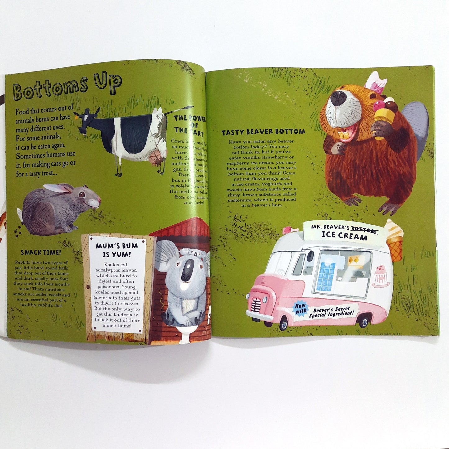 The Really gross Animals book