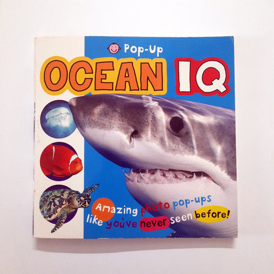 Qcean IQ