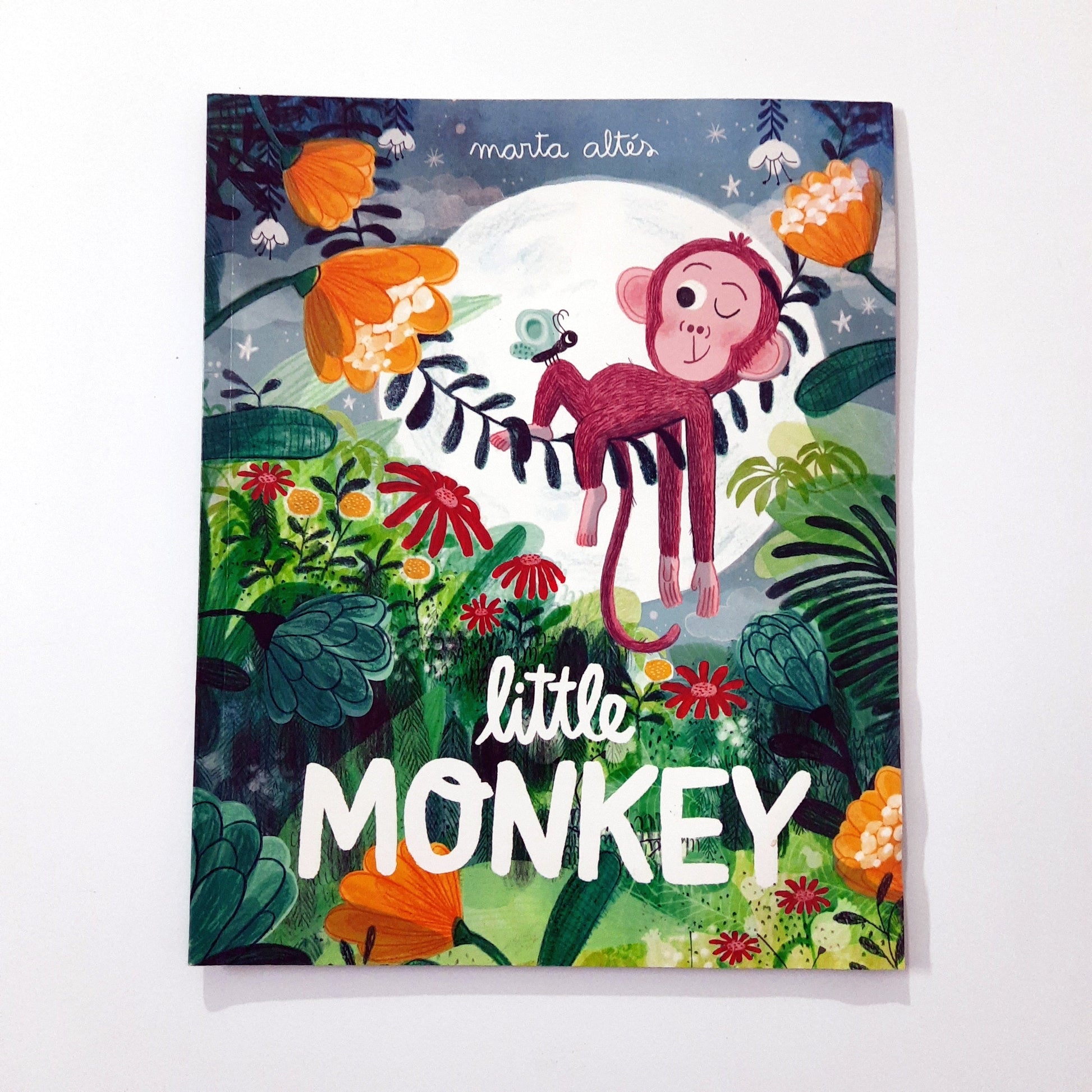 Little Monkey