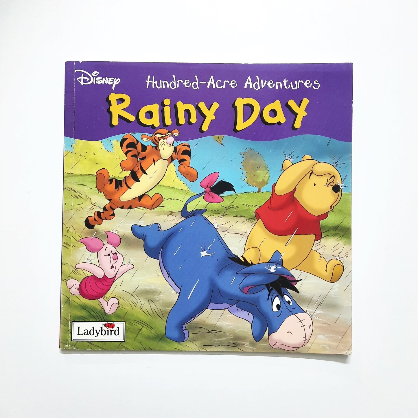 Disney - Rainy Day - Hundred Adventures