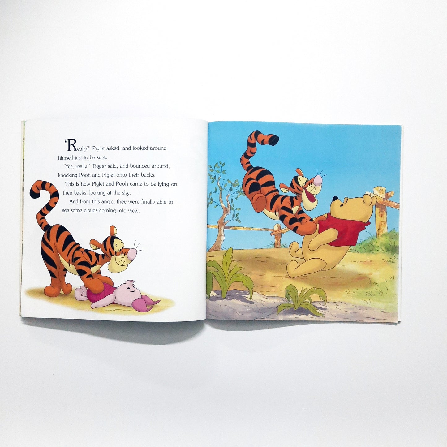 Disney - Rainy Day - Hundred Adventures