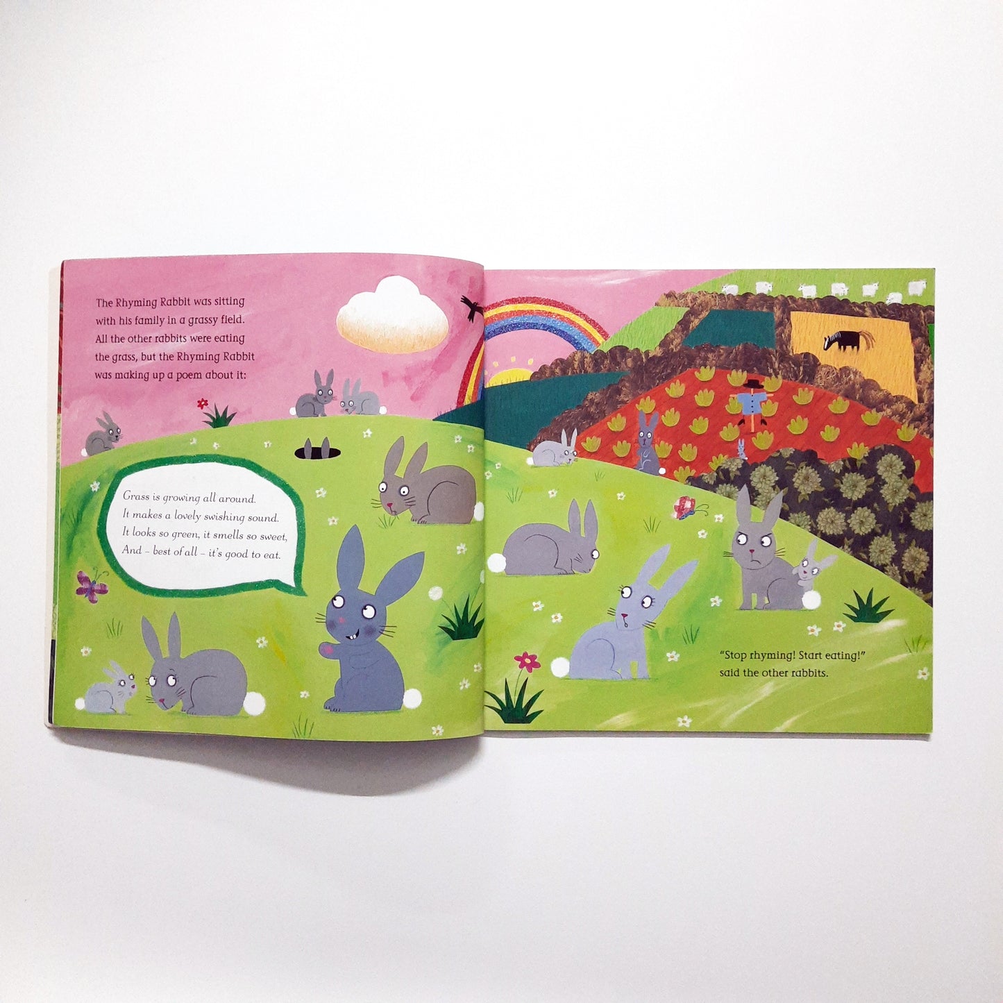 The Rhyming Rabbit - Julia Donaldson