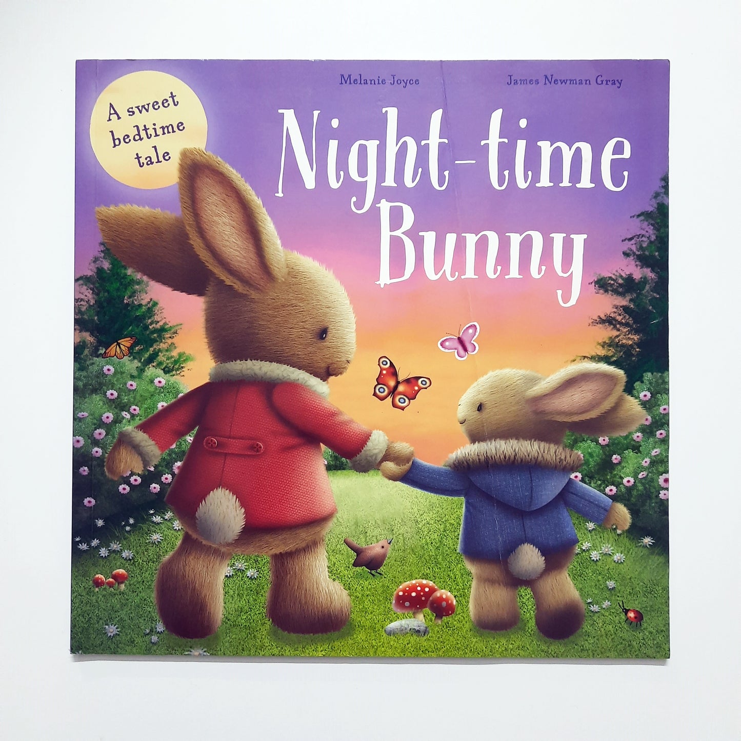 Night-Time Bunny