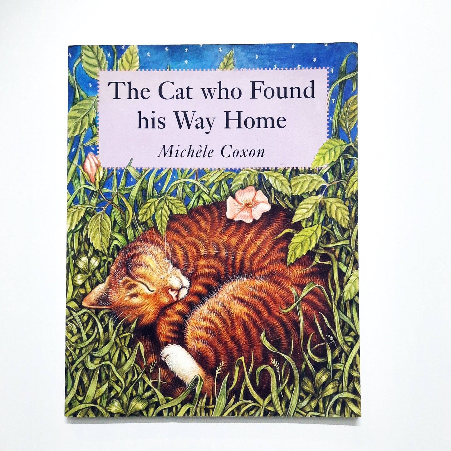 The Cat who Found his way Home