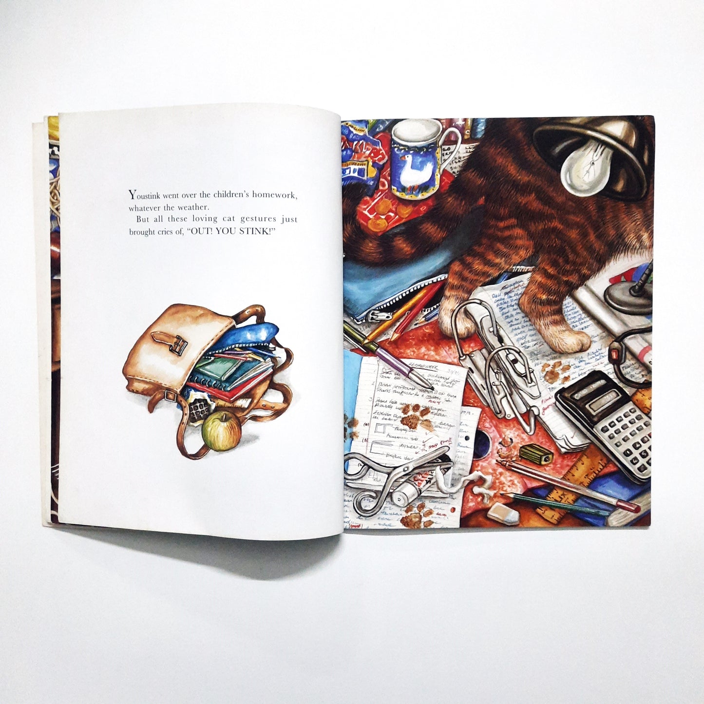 The Cat who Found his way Home