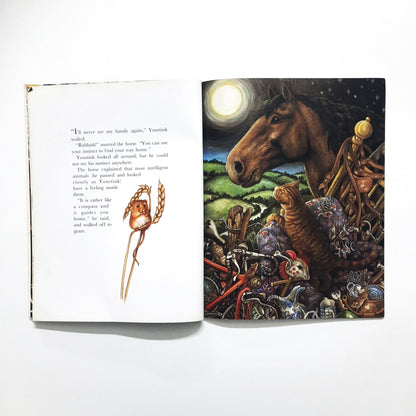 The Cat who Found his way Home