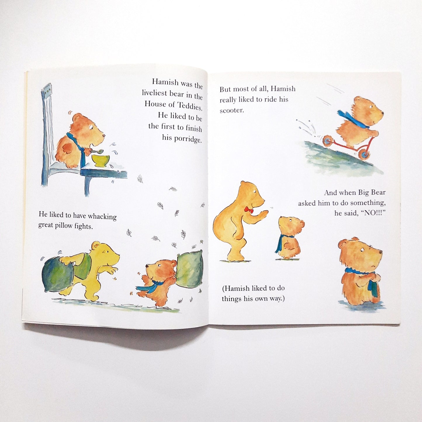 The Bear who Found his Child Hamish