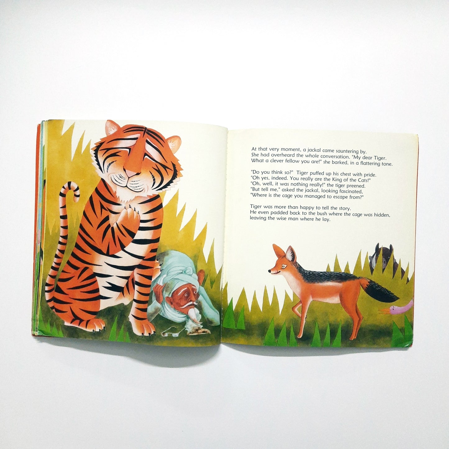 The Tiger and the Wise Man