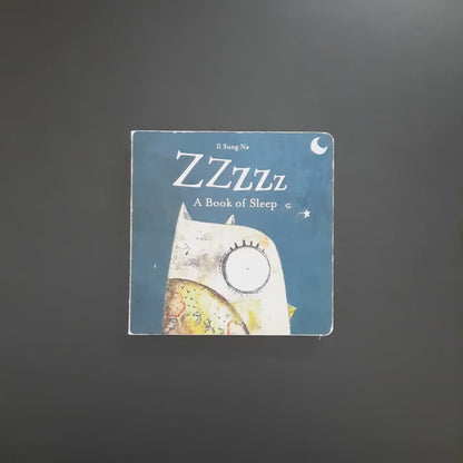Zzzz A Book of Sleep