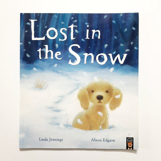 Lost in Snow