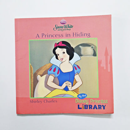 A Princess in Hiding